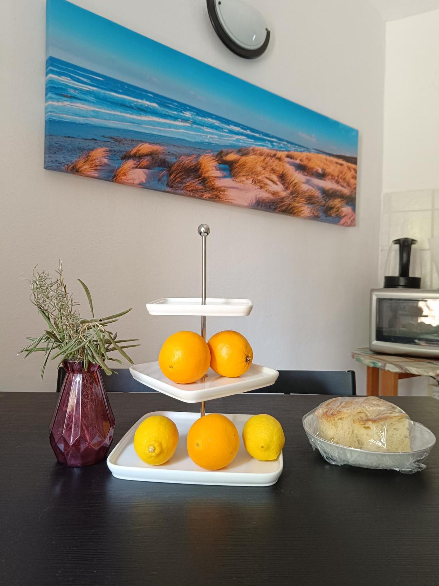 Studio Apartmani Tucic 셀리나 외부 사진